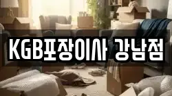 KGB포장이사 강남점