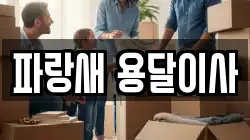 파랑새 용달이사