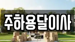 주하용달이사