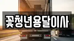 꽃청년용달이사