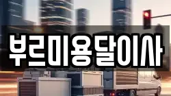 부르미용달이사