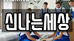 신나는세상