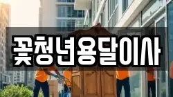 꽃청년용달이사