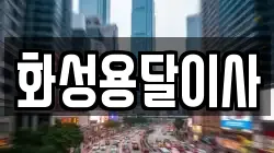 화성용달이사