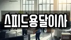 스피드용달이사