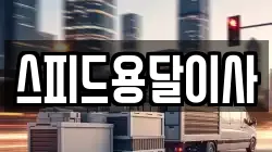 스피드용달이사