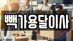 빽가용달이사