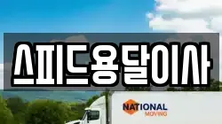 스피드용달이사