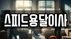 스피드용달이사