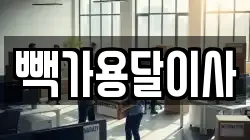 빽가용달이사