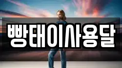 빵태이사용달