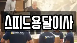 스피드용달이사