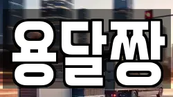 용달짱