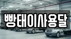 빵태이사용달