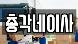 총각네이사