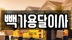 빽가용달이사