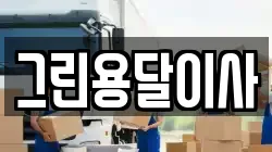 그린용달이사