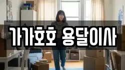 가가호호 용달이사