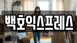 백호익스프레스