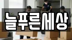늘푸른세상
