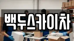백두스카이차