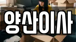 양산이사