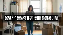 용달차1톤트럭가구가전배송원룸이사