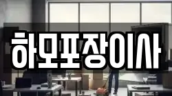 하모포장이사