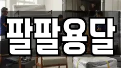 팔팔용달