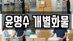 윤명수 개별화물