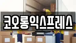 코오롱익스프레스
