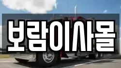 보람이사몰
