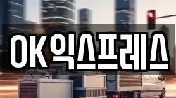 OK익스프레스