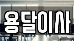 용달이사