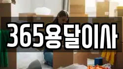 365용달이사