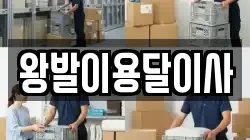 왕발이용달이사
