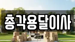 총각용달이사