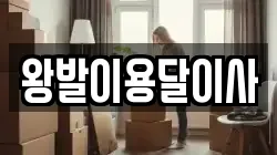 왕발이용달이사