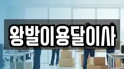 왕발이용달이사