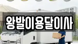 왕발이용달이사