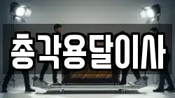 총각용달이사