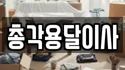 총각용달이사