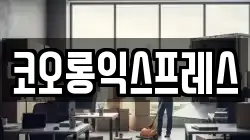 코오롱익스프레스