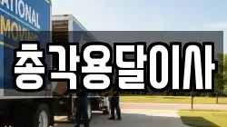 총각용달이사