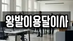 왕발이용달이사