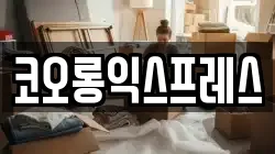 코오롱익스프레스