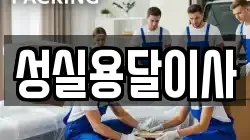 성실용달이사