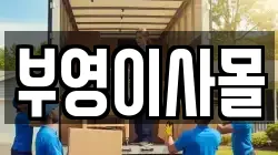 부영이사몰