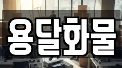 경남 창원시 진해구 청안동 이사,포장이사,반포장이사,원룸이사,사무실이사,용달이사,전국이사,보관이사
