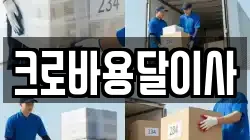 크로바용달이사